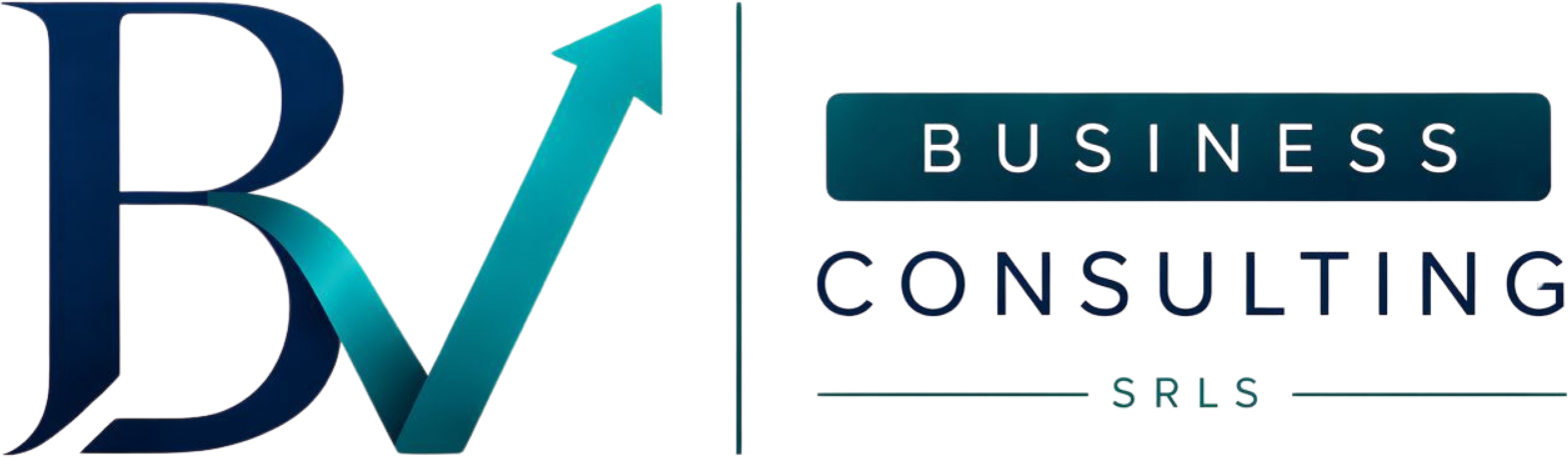 BV Business Consulting SRLS